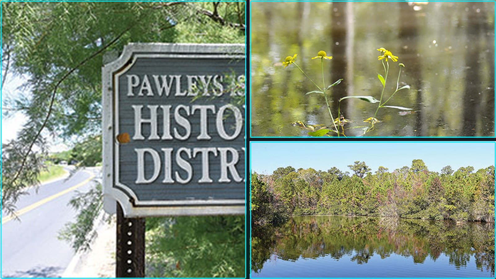 Composite featured image for Pawleys Island / Georgetown & Horry Counties, SC — 2026-W18