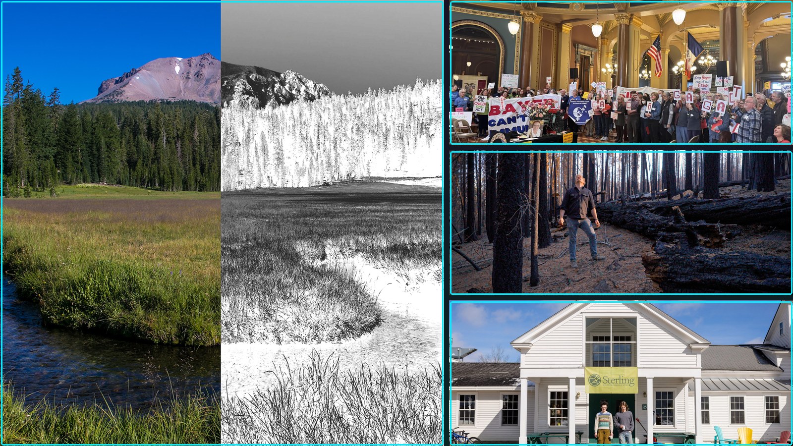 Composite featured image for Investigations into Corporations, Politics, and the Environment - 2026-W16