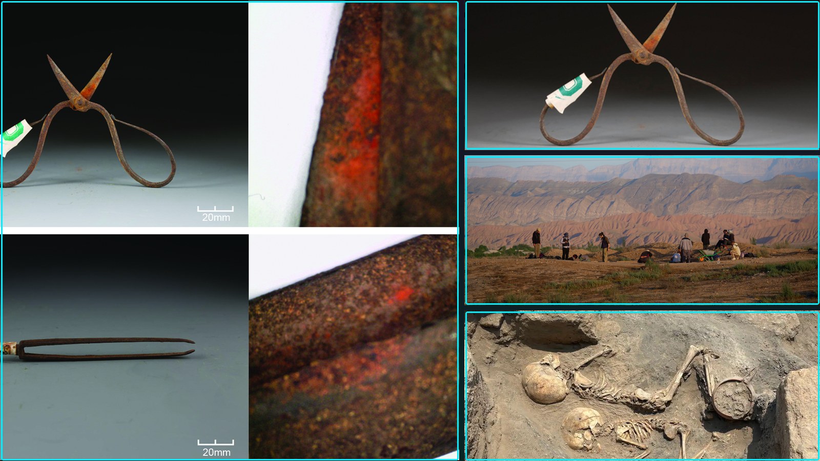 Composite featured image for Ancient Health, Medicine & Biology - 2026-W22