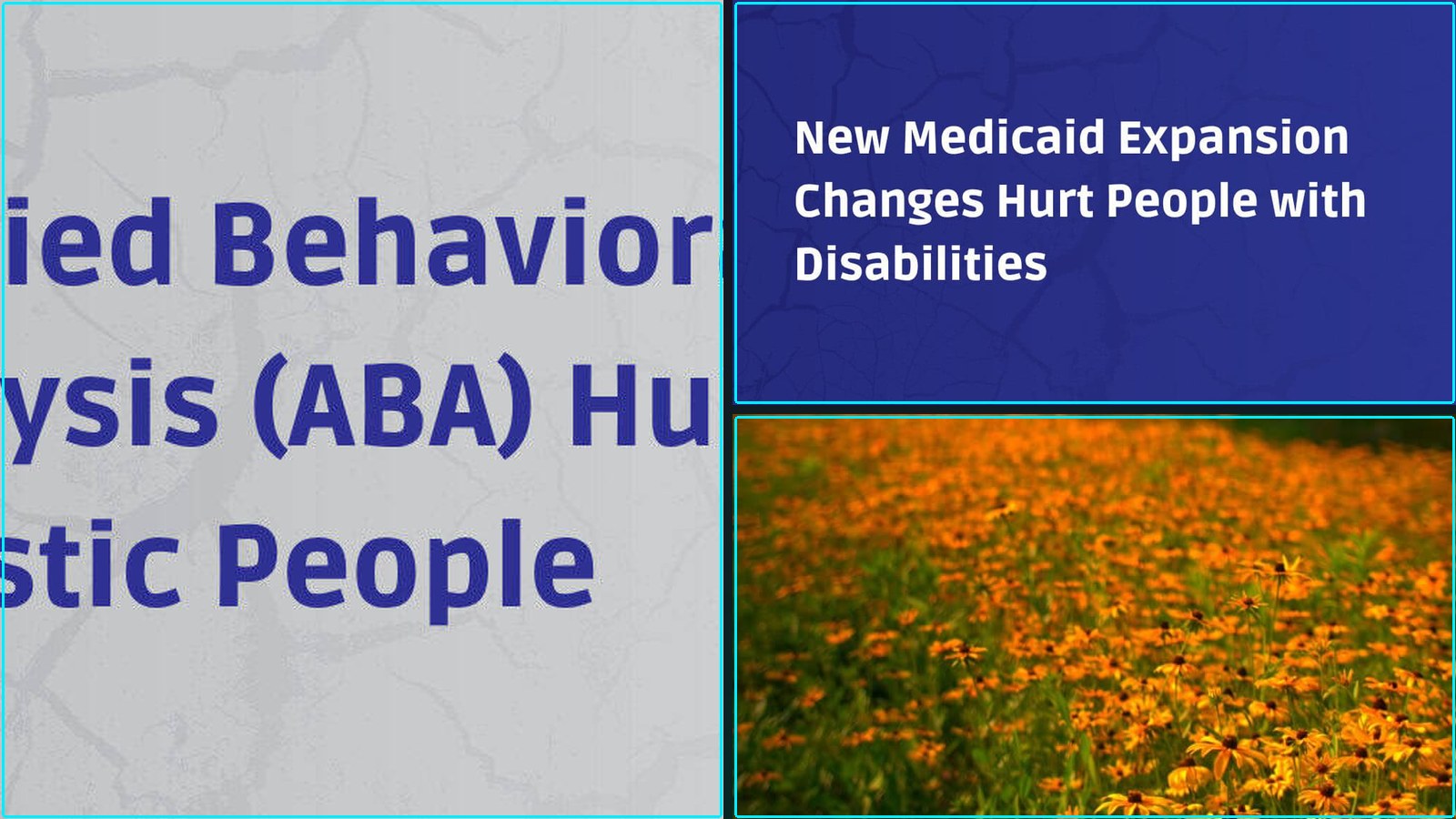 Composite featured image for Neurodiversity, ADHD, Autism, and AuDHD — 2026-W22
