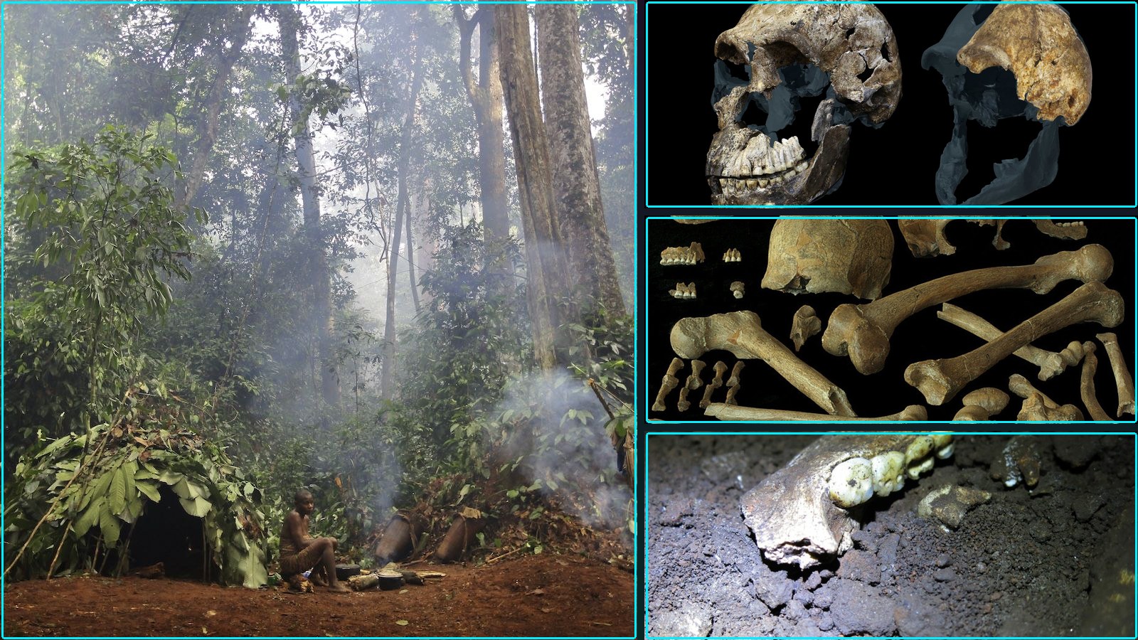 New discoveries in human evolution, weird result already weird, and more.