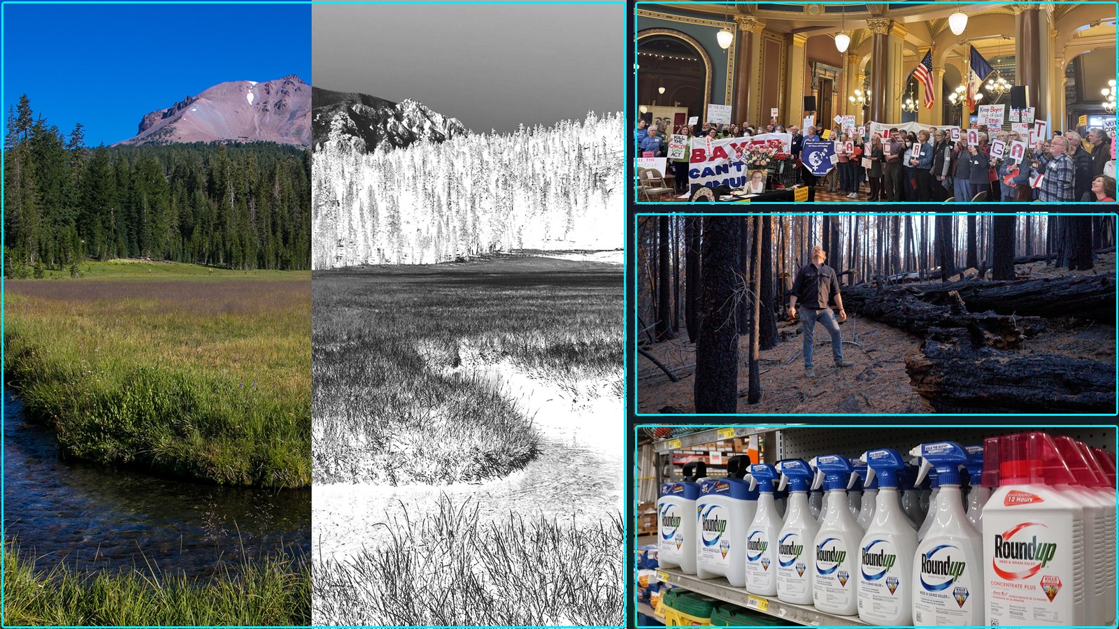 Composite featured image for Investigations into corporations, chemicals, and public risk - 2026-W16