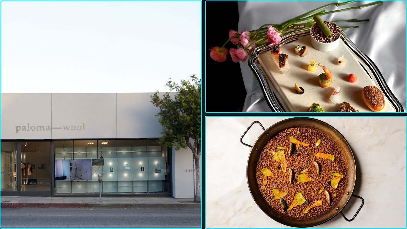 Design, Architecture, and Culinary, Paloma Wool s first Los Angeles store blurs, and more.