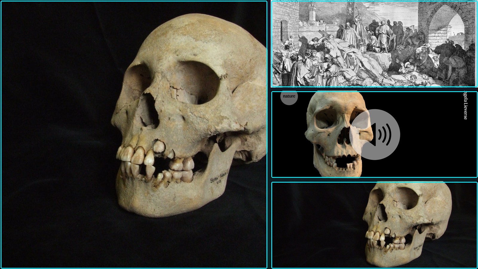 Composite featured image for Ancient plague outbreaks traced through DNA - 2026-W25
