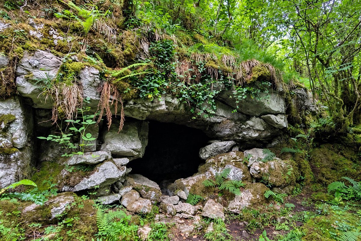 Ancient World September 7, 2026: 15,000-year-old cave art discovery could rewrite the story of Ireland’s first humans